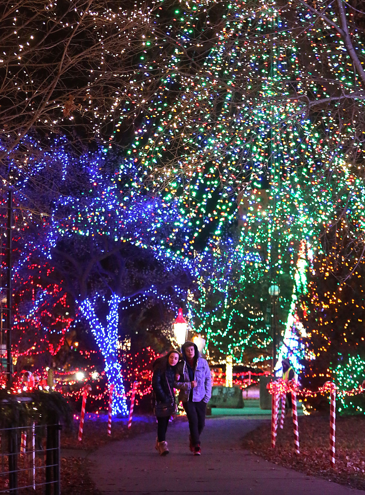 Rotary Lights